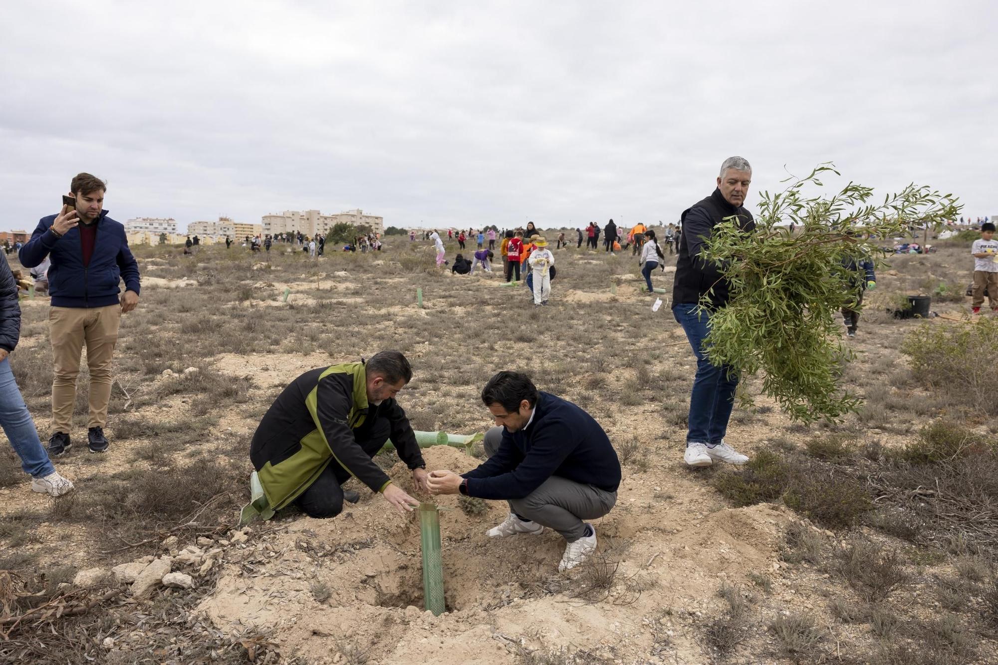 800 escolares se implican en la celebración del Día del Árbol con la plantación de especies autóctonas en torno a la laguna de La Mata de Torrevieja