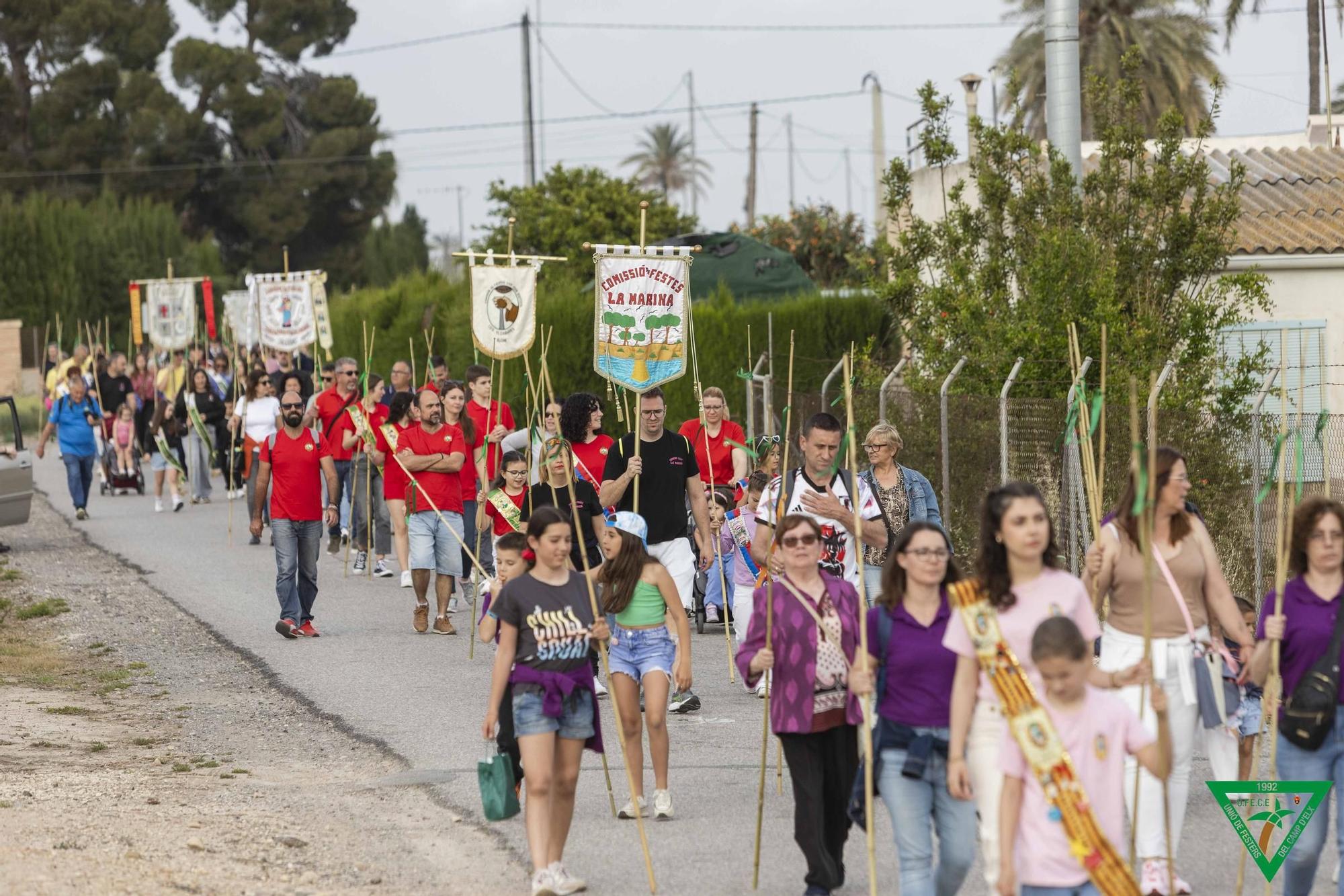 Fervor en el Camp d'Elx con Isidro