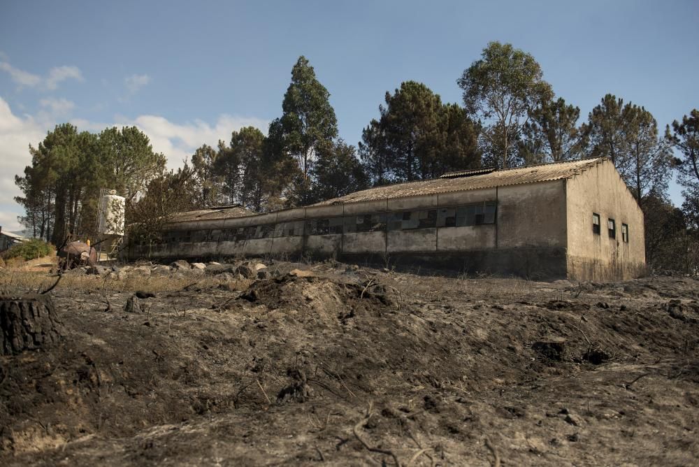 Entrimo, el incendio más voraz del año en Galicia