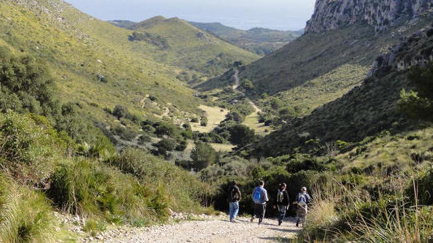 El Parc de Llevant, uno de los que organiza actividades gratuitas