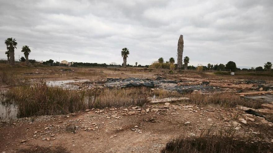 "Día histórico para Burriana": El Consell paraliza el Pativel en Sant Gregori y allana el camino para su desarrollo