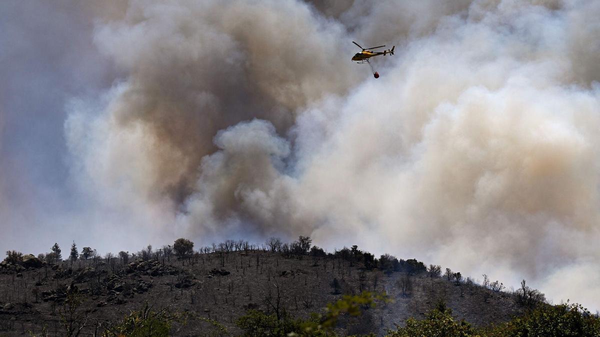 Un helicòpter dels bombers descarrega aigua sobre un incendi forestal prop del coll de les Auzines, a tocar de Trevillac.