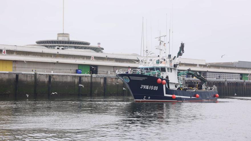 El puerto pesquero de Avilés gana fieles: este es el motivo que lleva a barcos de otros países y regiones españolas a desembarcar aquí sus capturas