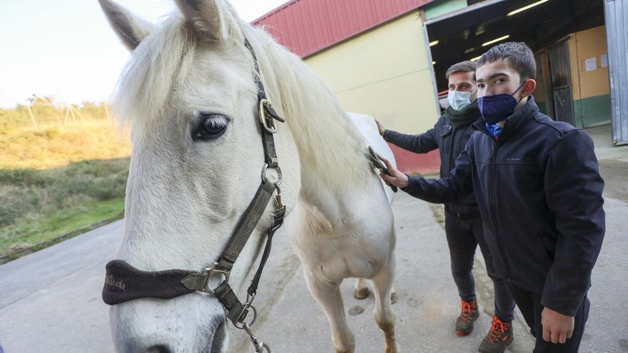 Terapia a horcajadas: la asociación ovetense que lleva 19 años tratando a personas con discapacidad mediante el vínculo que generan con los caballos