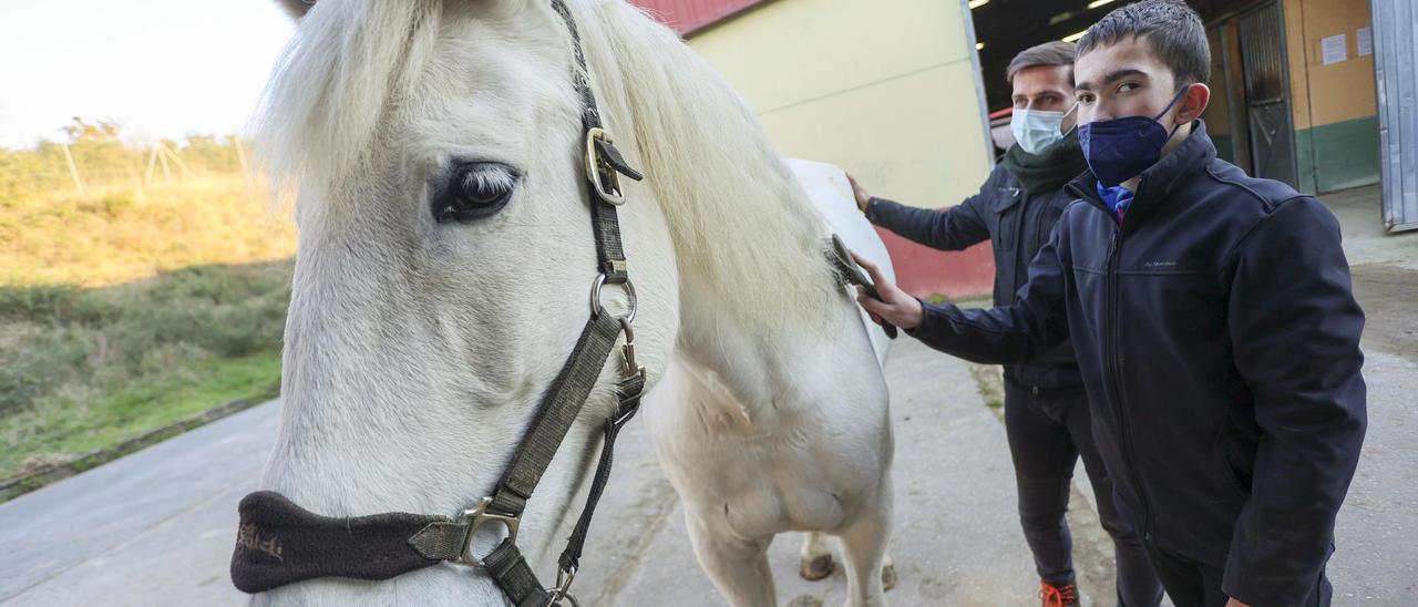 Así son las terapias con caballos que ofrece  la asociación Equitación Positiva en Oviedo