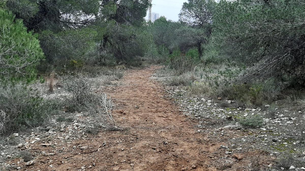 Paraje de les Moles de Paterna