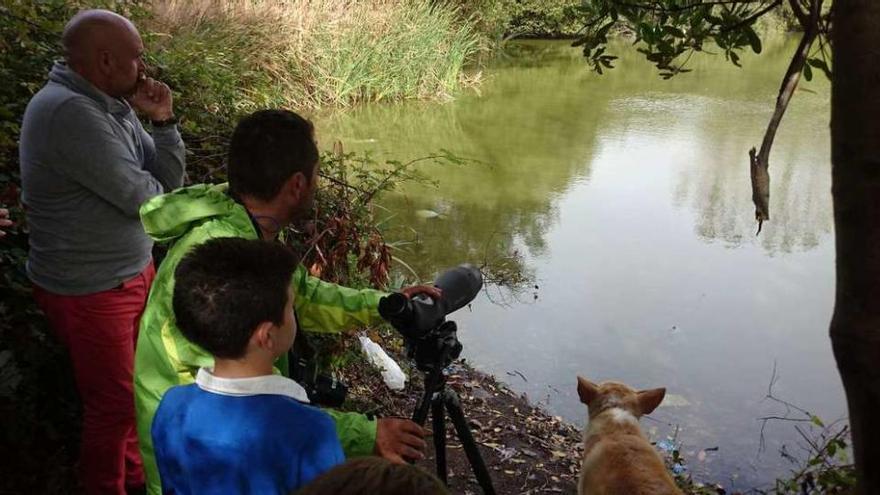 Arriba, varias personas observan distintas especies en la laguna de Massó. Abajo, otro grupo busca aves junto a la Praia do Medio y A Congorza. // Gonzalo N.