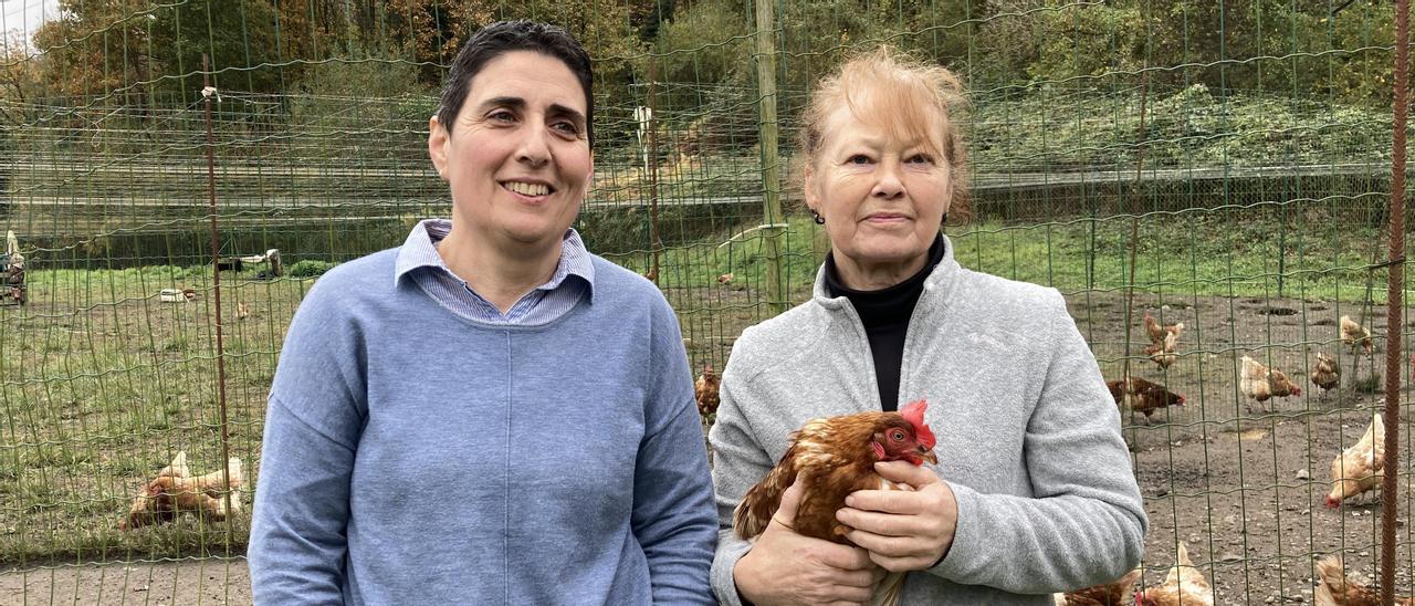 Apadrinar una "ecopita" y recibir en casa treinta huevos  frescos al mes: el proyecto  que triunfa en Morcín