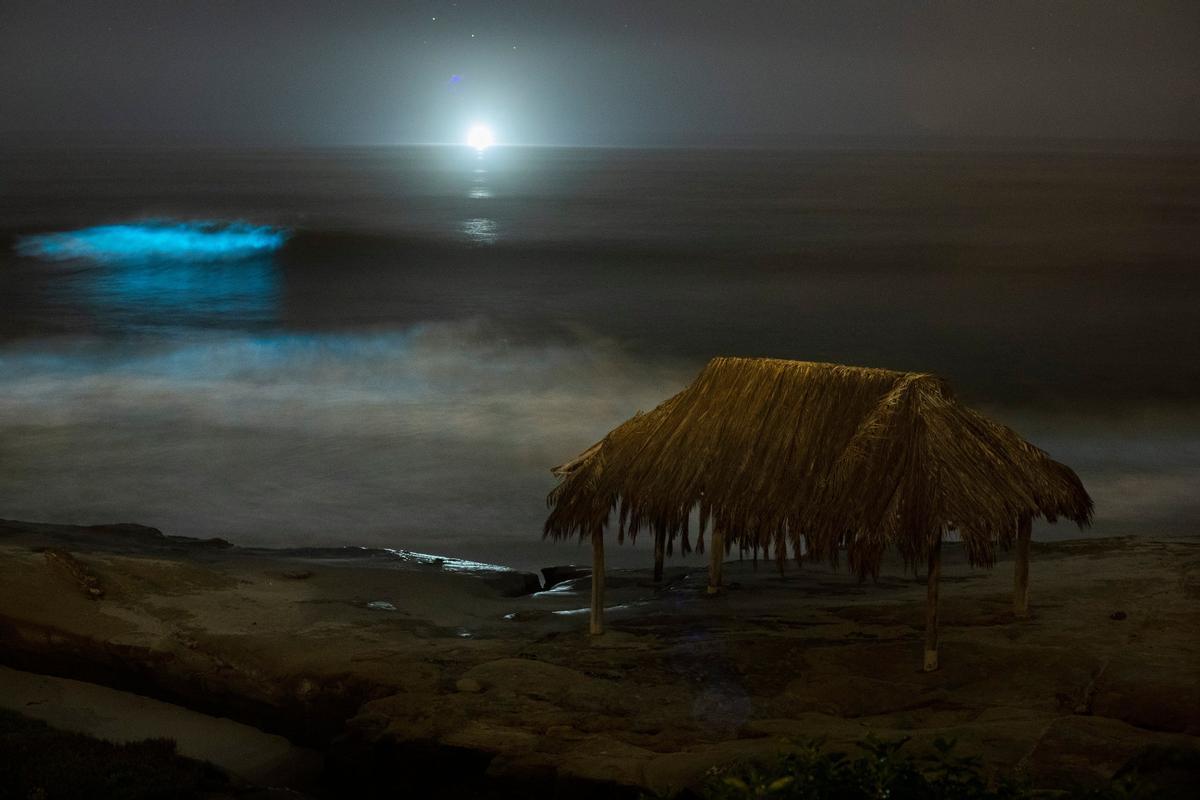 Olas bioluminiscentes en la Jolla Shores, San Diego