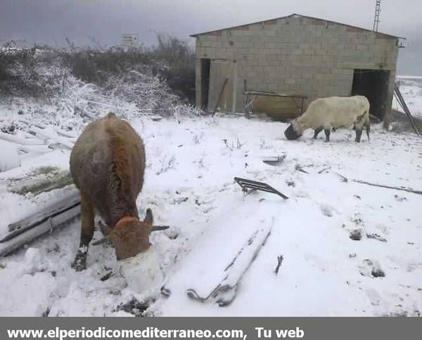 GALERÍA DE FOTOS - Primeras nieves en la provincia