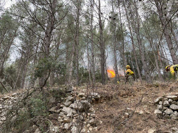 Incendio forestal en Villanueva de Viver