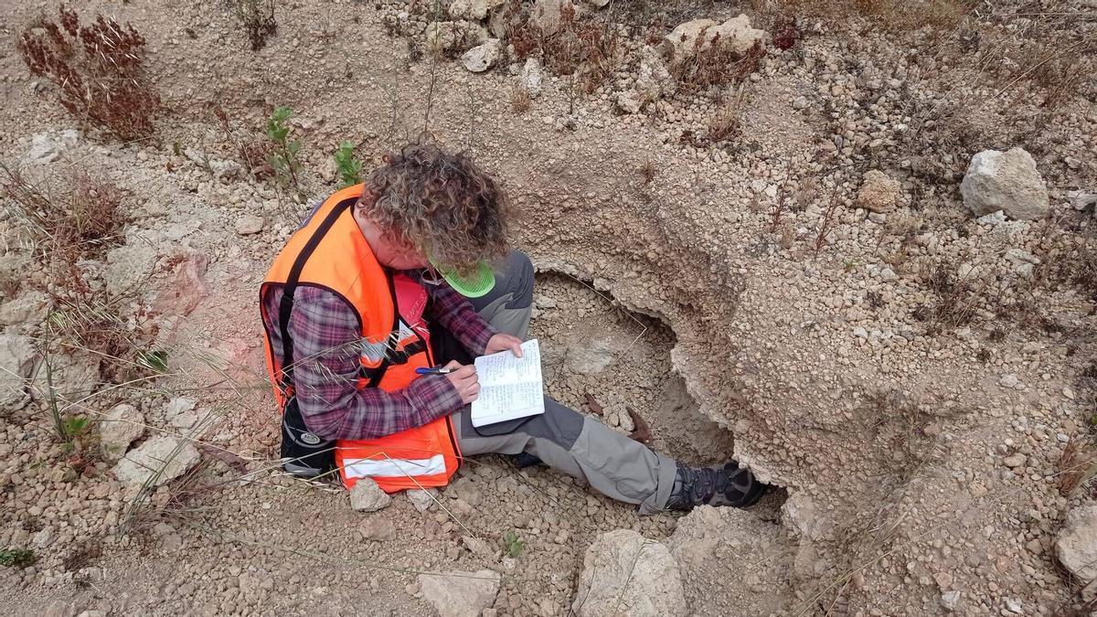 Una investigadora de la ULL trabaja en el yacimiento de la banda del sur
