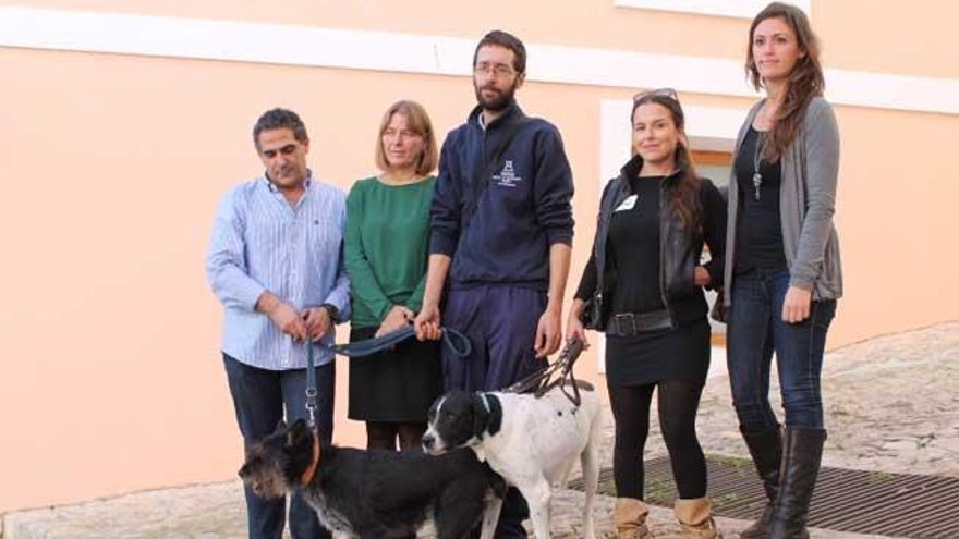 Perros de Sa Coma ayudarán en la resinserción de reclusos