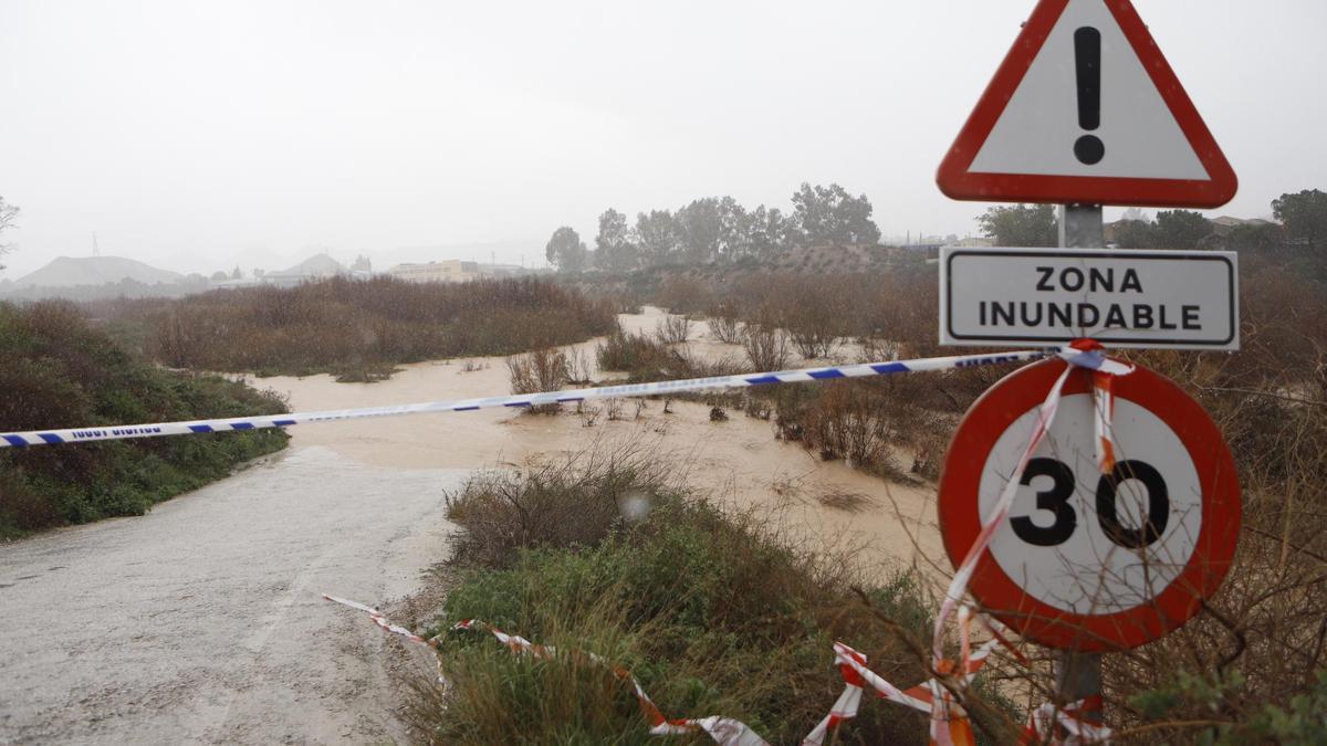 El río Guadalentín, metros antes de llegar a Lorca.