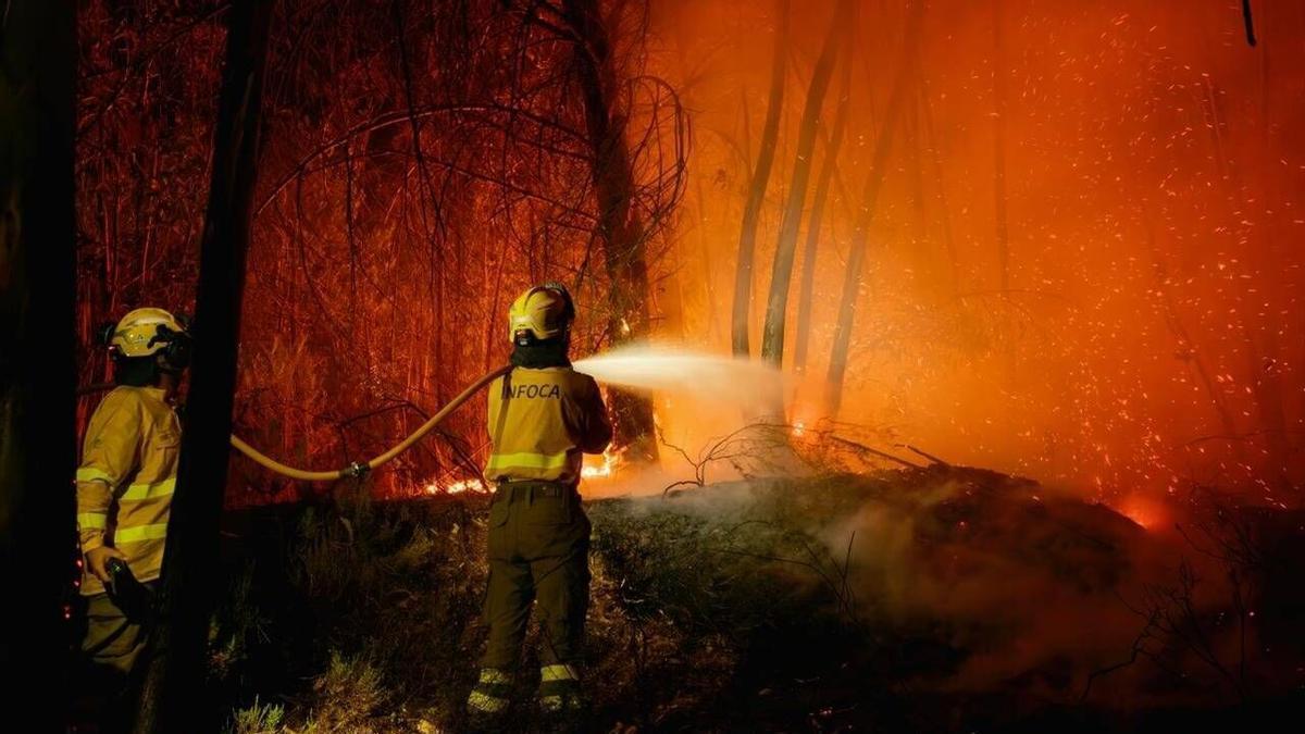 Varios efectivos del INFOCA durante la noche frente al incendio forestal de Niebla (Huelva)