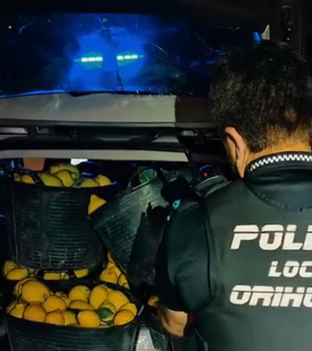 Los agentes identifican a cuatro personas e intervienen 350 kilos de cítricos