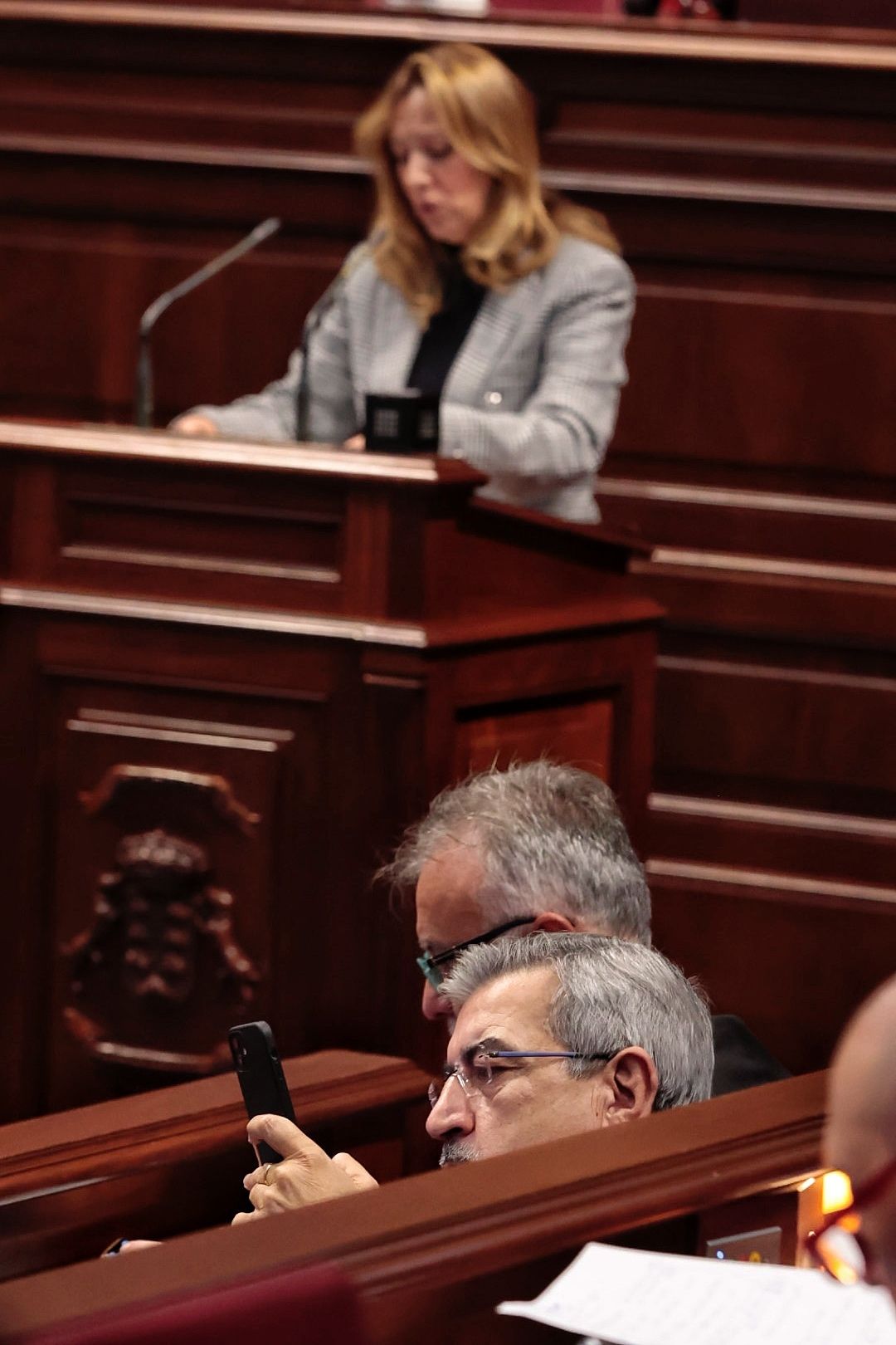 Pleno del Parlamento