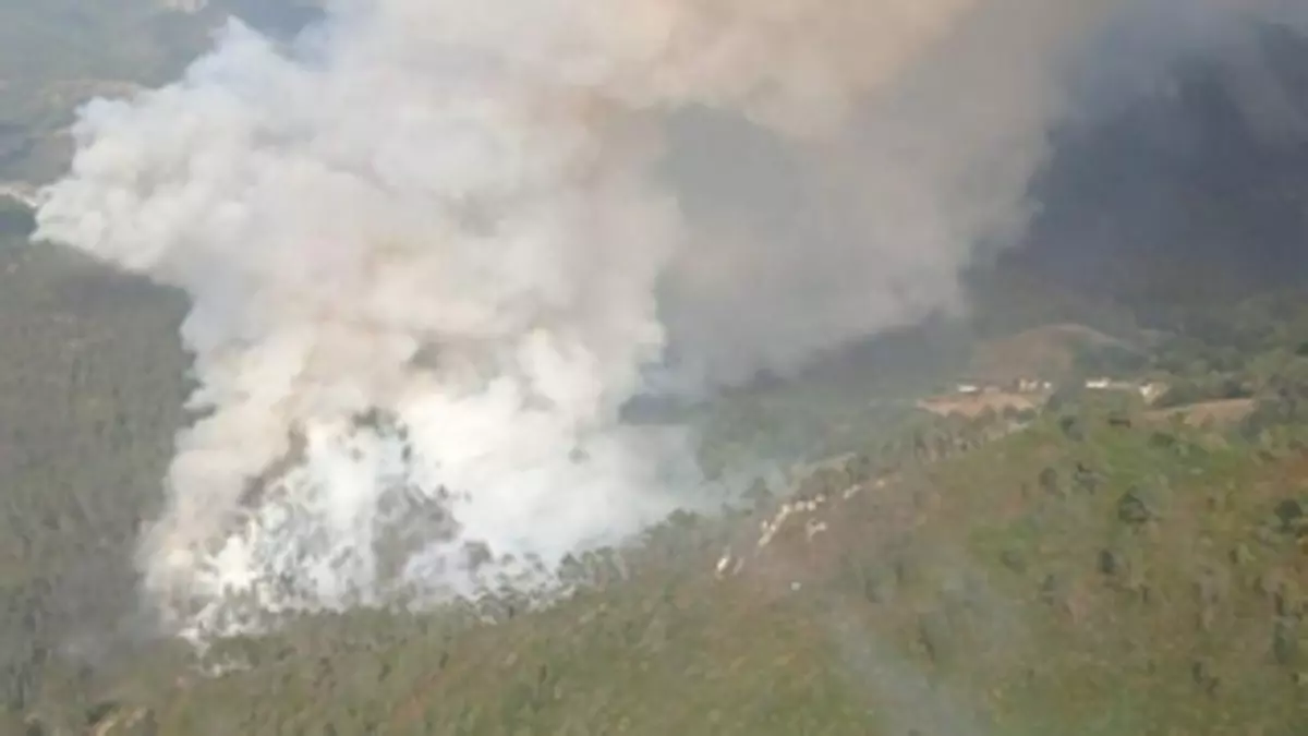 La rotura de un cable de teléfono provoca un incendio forestal en Villayón que amenaza a una casa