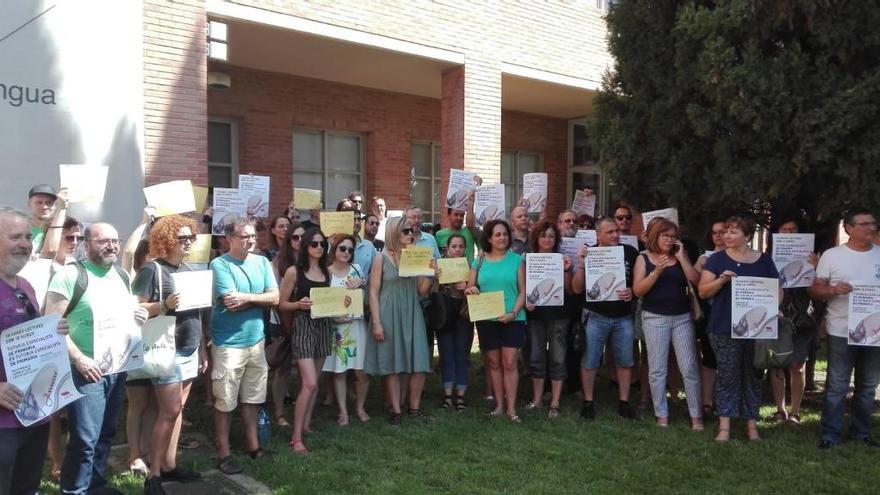 Opositores de Valenciano y Stepv presentaron recursos de alzada ante la conselleria, el martes.