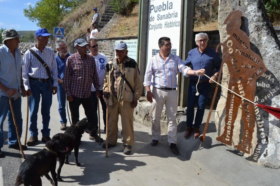 Las ovejas "toman" Puebla de Sanabria