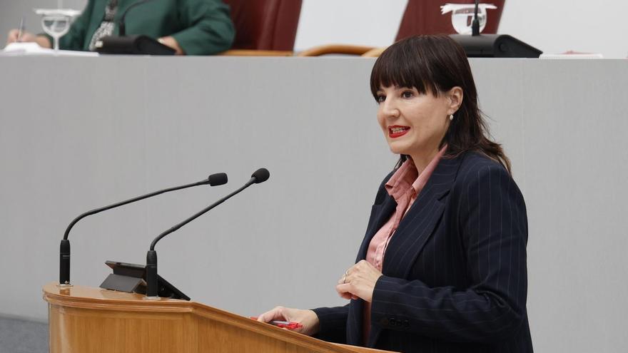 PP y PSOE logran sacar adelante una moción por el Día de la Mujer ante el rechazo absoluto de Vox