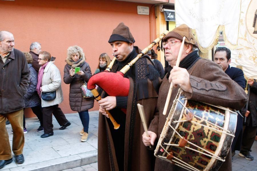 Los perros gobiernan por san Antón en Zamora