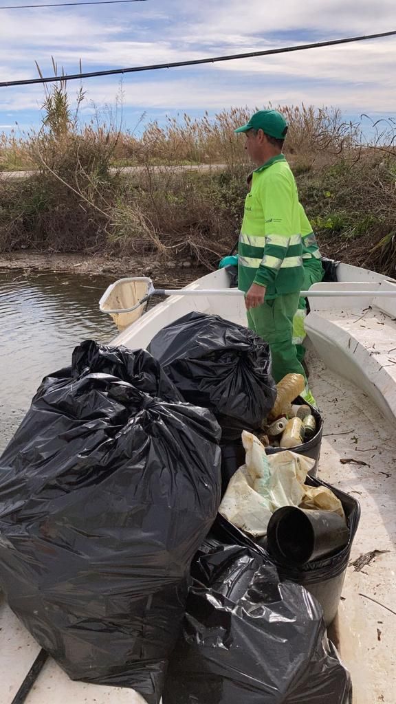 Limpieza de las aguas del Clot de la Mare de Déu en Burriana.