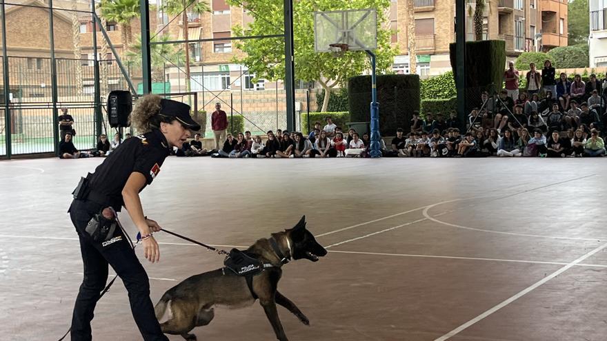 Los estudiantes de Petrer conocen la labor de los perros policía