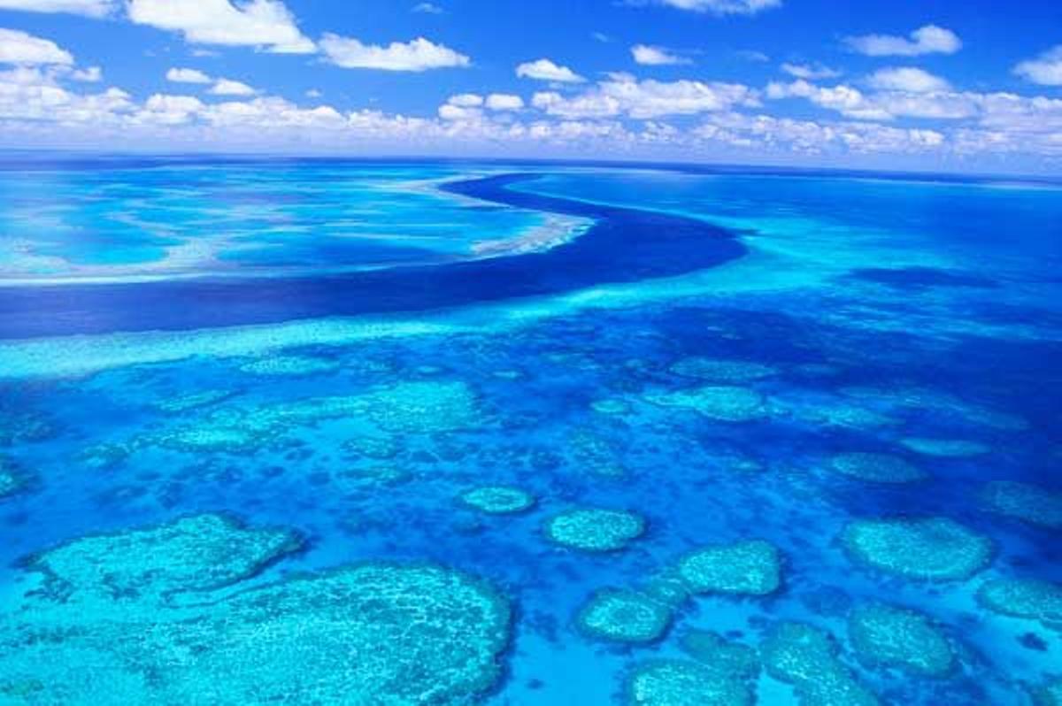 Gran Barrera de Coral australiana.