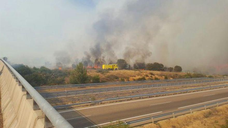 Incendio en Vega de Tera