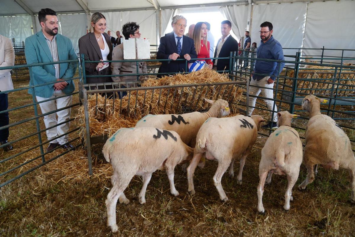 La Feria del Pastoreo de Villaralto, en imágenes