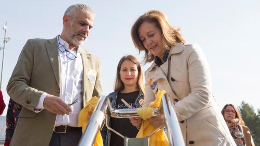 Ciudadanos retira lazos amarillos en la Universidad Autónoma de Barcelona