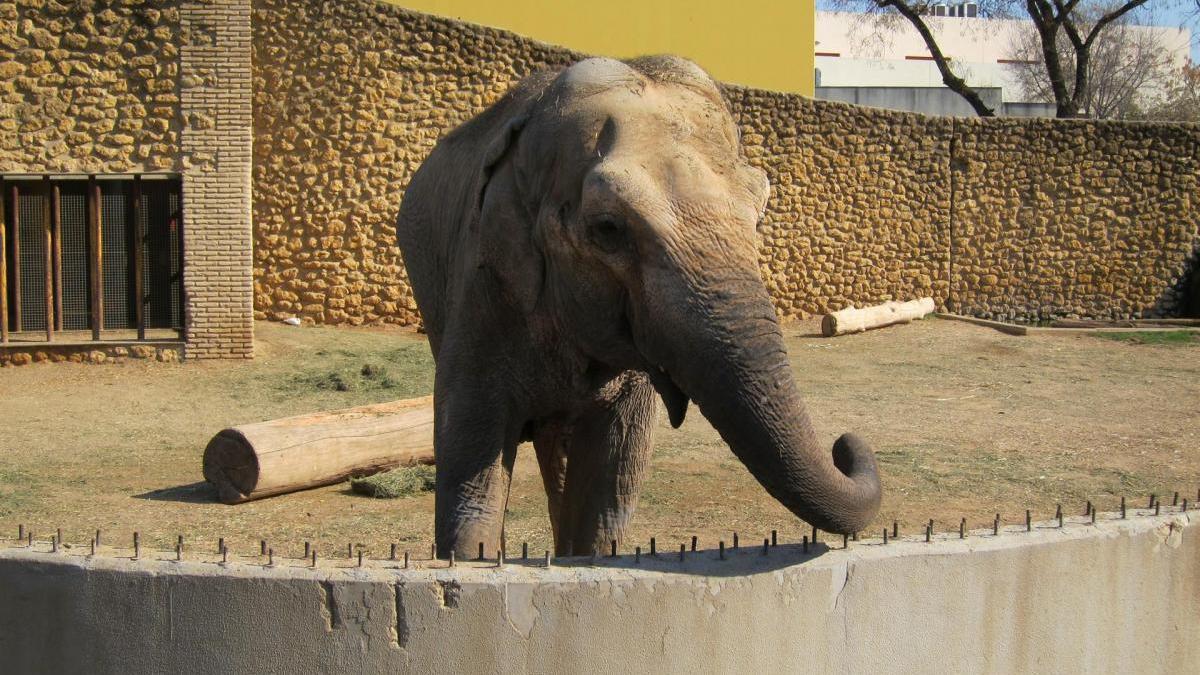 Ecologistas en Acción pide &quot;la deconstrucción sostenida&quot; del Zoológico