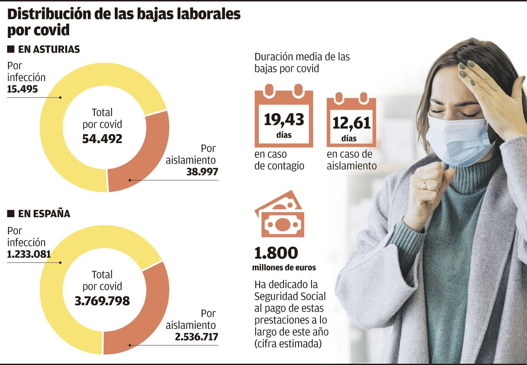 Distribución de las bajas