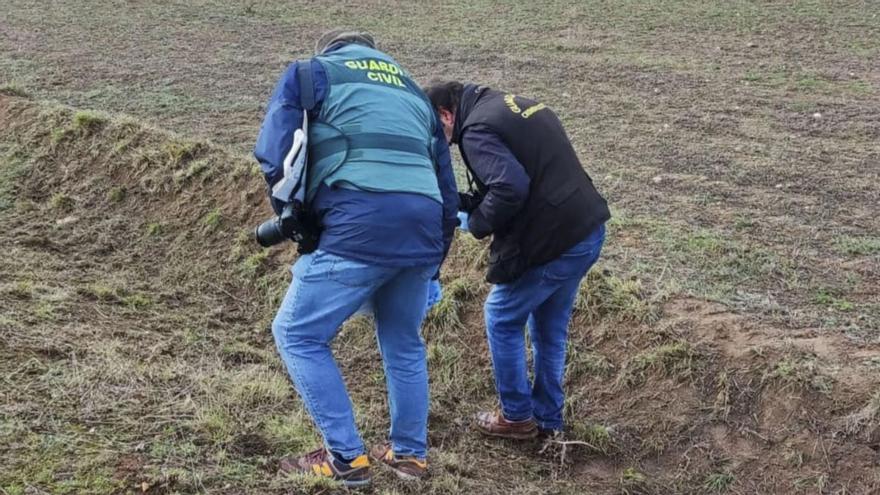 Agentes de la Guardia Civil inspeccionan el lugar del suceso, ocurrido entre La Hiniesta y Roales.