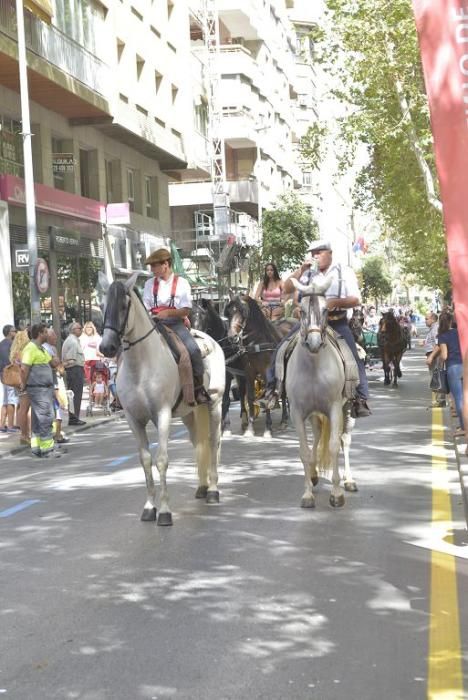 Día del caballo en la Feria de Murcia