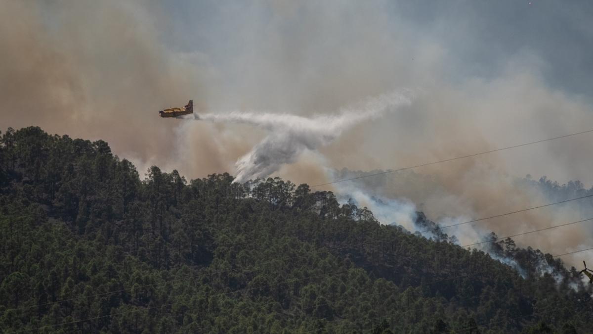 Incendio forestal en Arico