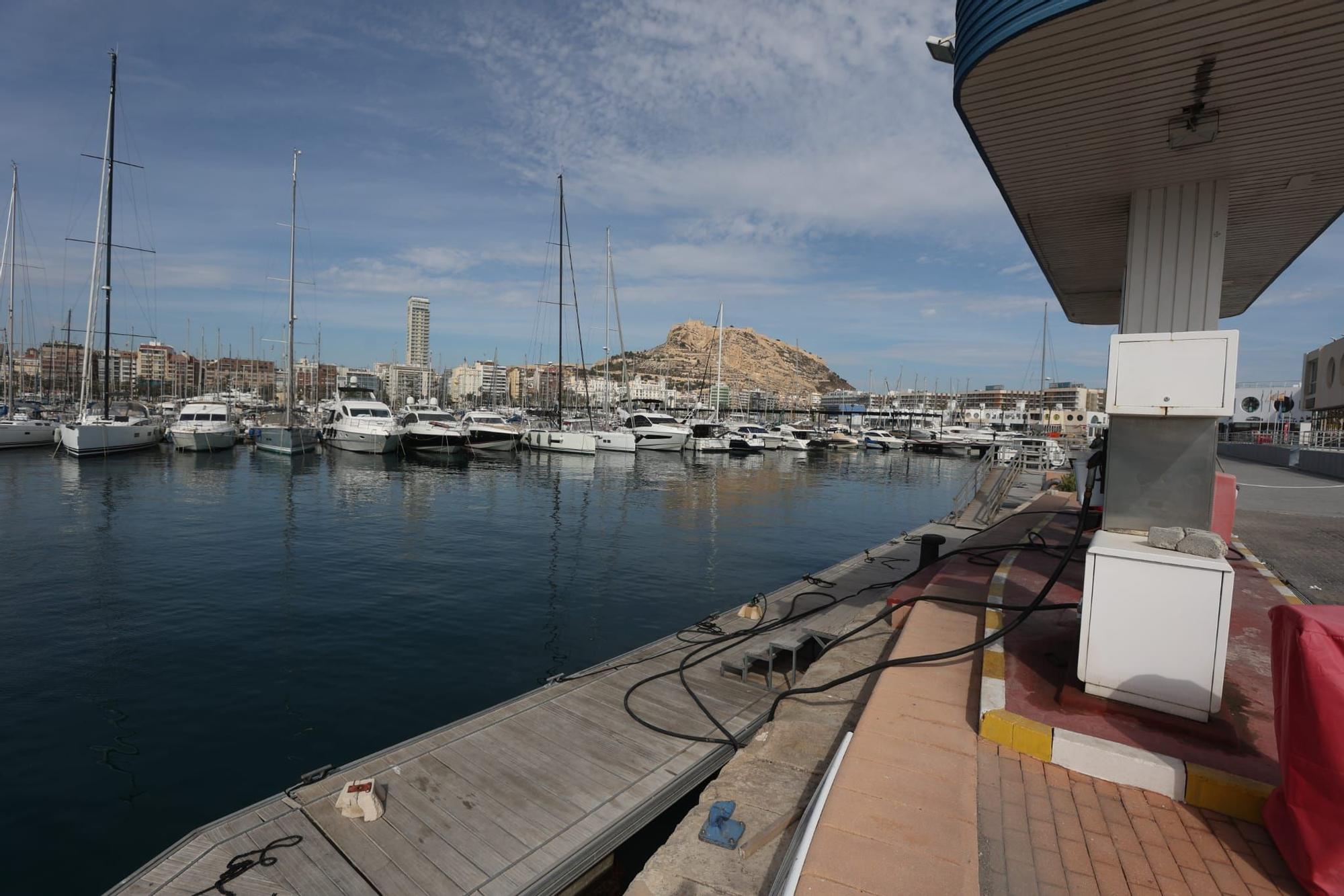 Zona donde ha aparecido el cadáver en el puerto de Alicante