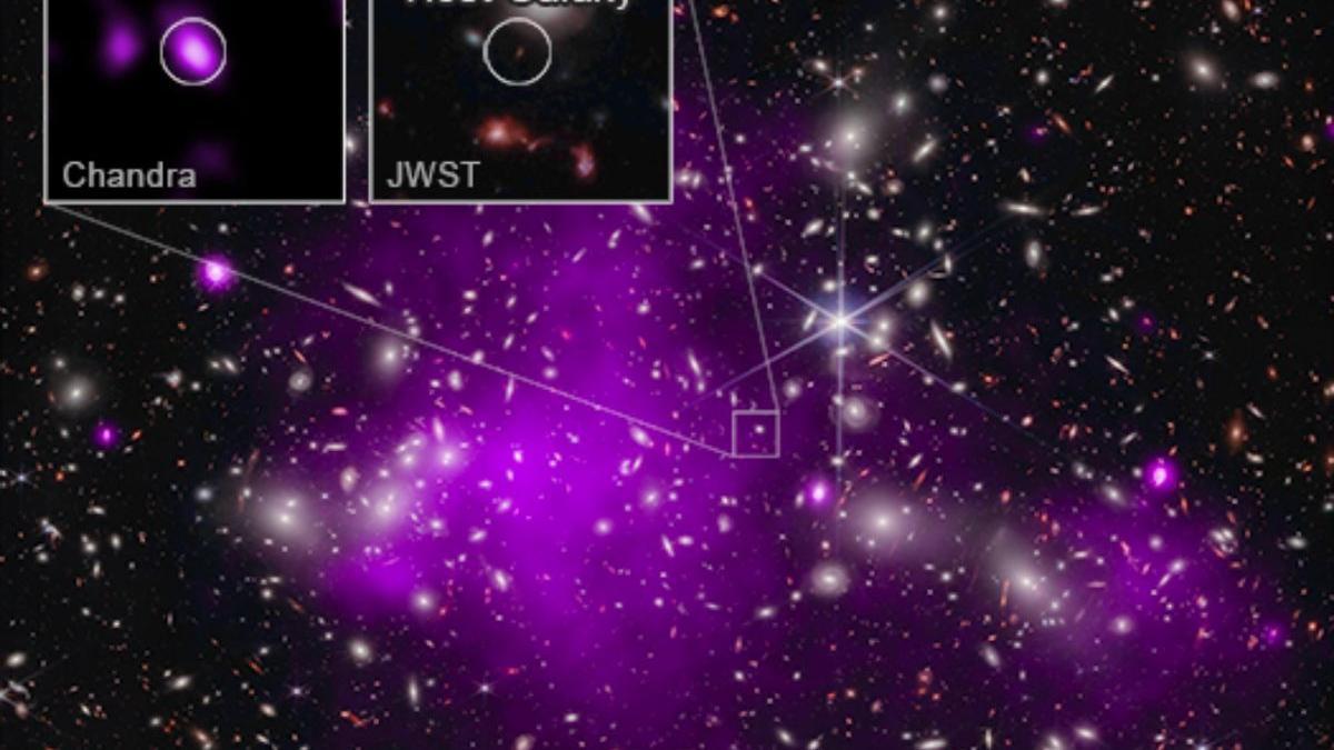 Imagen compuesta de JWST y Chandra que revela UHZ1 y su agujero negro supermasivo.