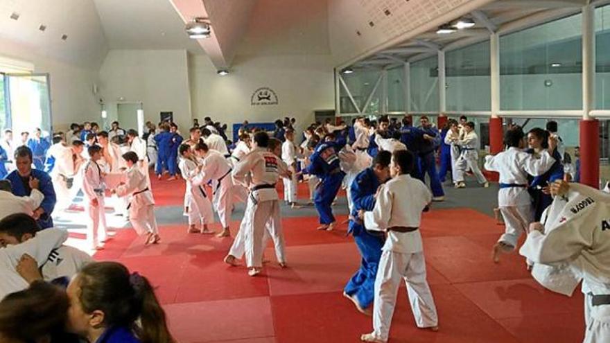 Concentració de judoquesal complex Vell Congost