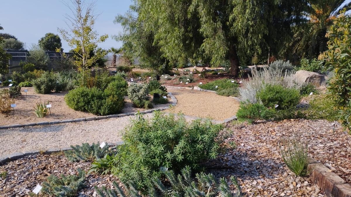 Un jardí sec de l'estil del que inclou el projecte premiat de l'alumna de l'Escola Agrària de Manresa