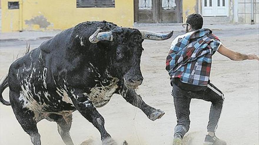 Un Torrestrella como recuerdo póstumo de un miembro de la comisión de las patronales