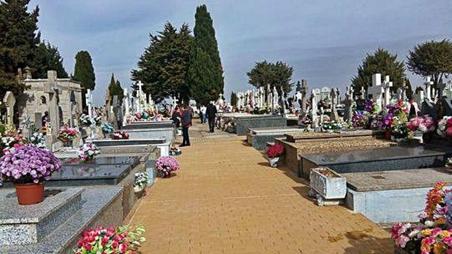 Cementerio municipal de Benavente. / E. P.