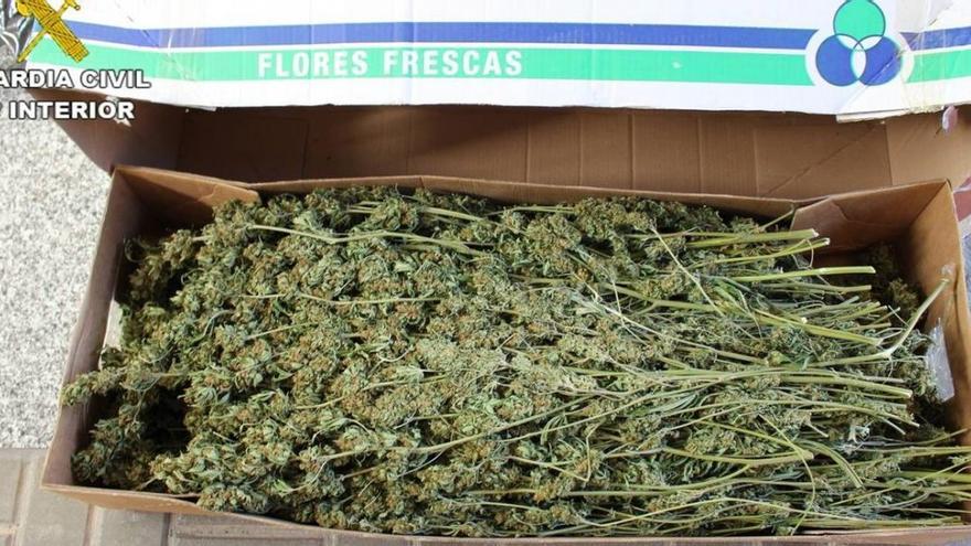 La Guardia Civil intercepta cien kilos de marihuana camuflada en cajas