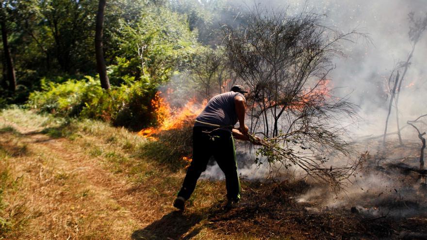 Controlan a tiempo un incendio forestal en A Illa