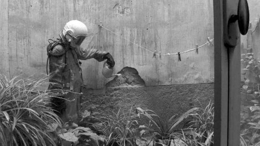 Fotograma de la obra presentada en Sundance, "Protopartículas".