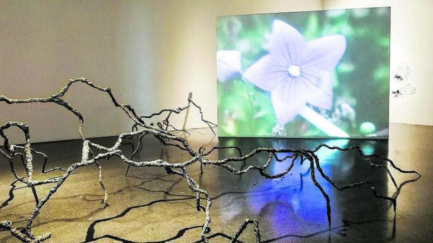 Panorámica de una de las salas del TEA, que acoge la exposición ‘Jardín satélite’. | | NATALIA MORENO