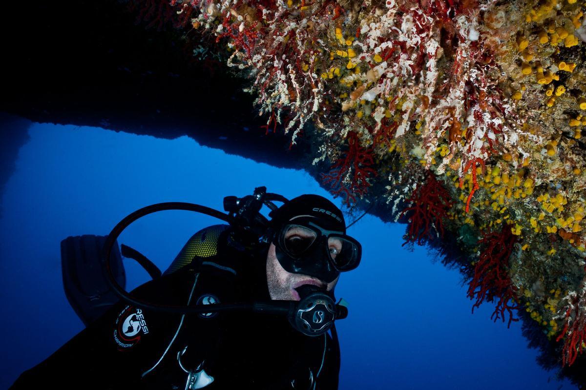 Un buceador observa corales en el Mediterráneo.