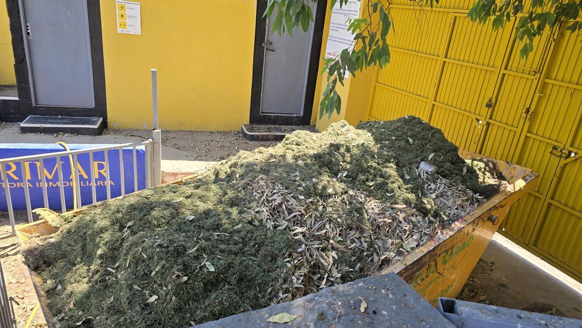 Así están las instalaciones y gradas del campo municipal de Los Arcos en Orihuela