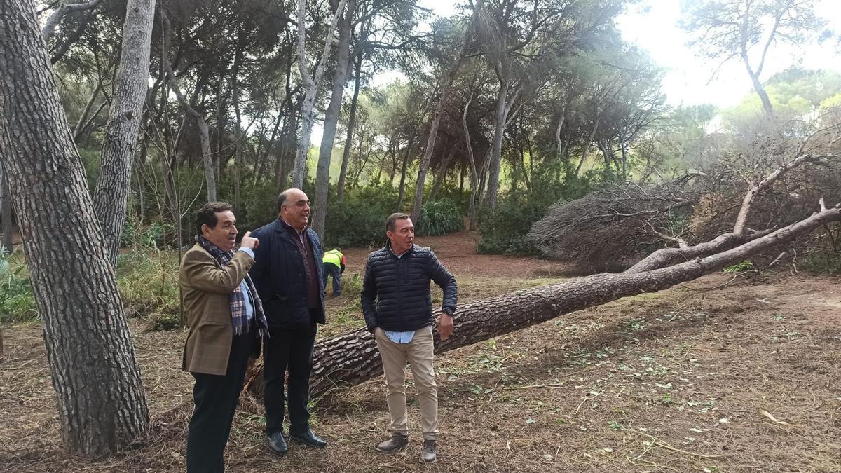 Los ediles Manuel Mestre y Víctor Valverde han supervisado los trabajos en la pinada de Campoamor.